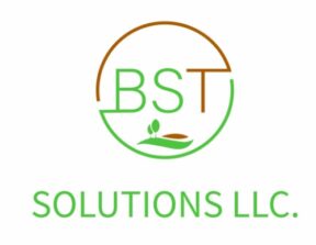 bstsolutionsllc.com